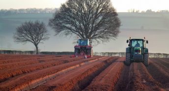 Potato planting near Bromsash