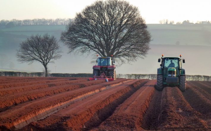 Potato planting near Bromsash