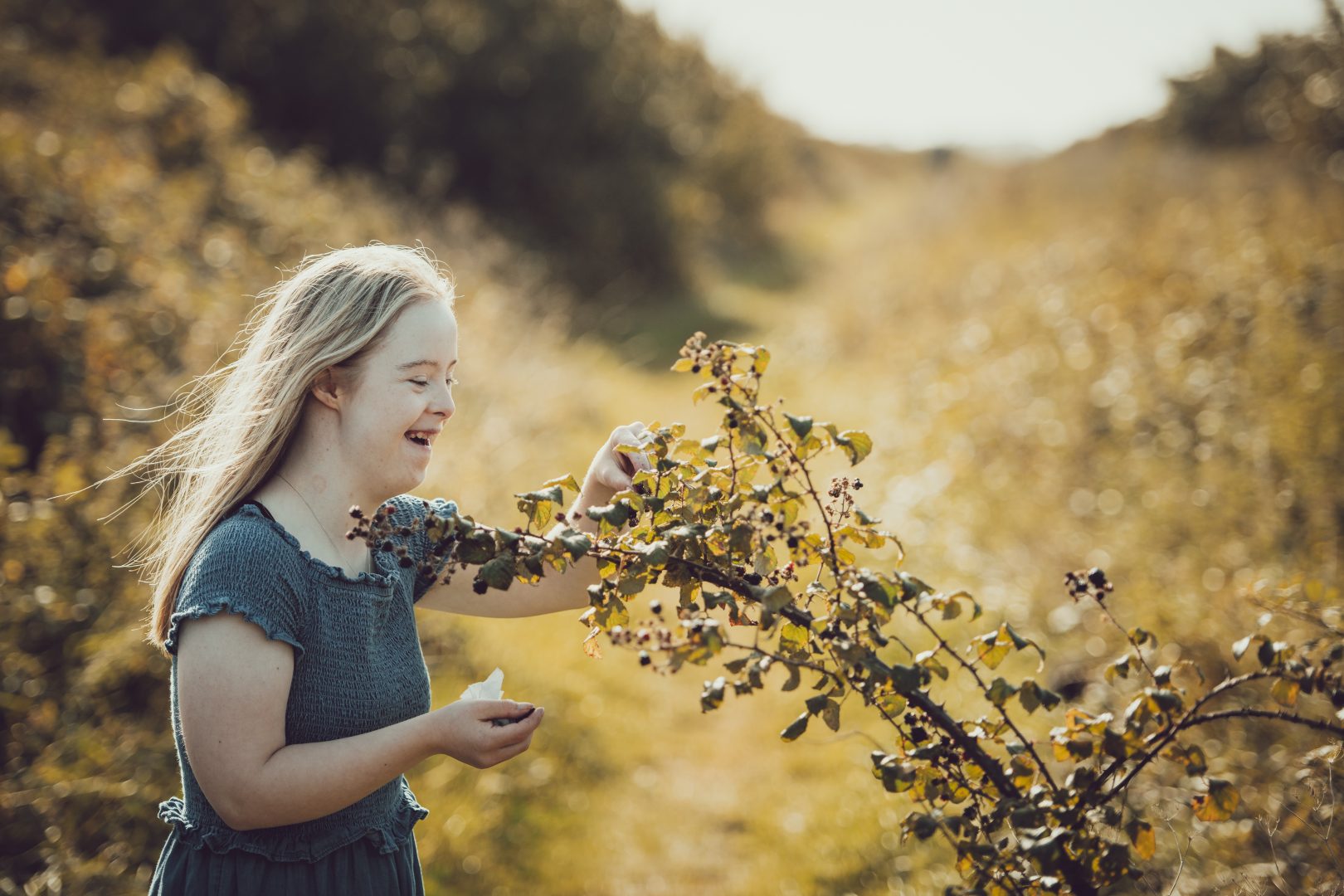Girl picking blackberries from a hedgerow