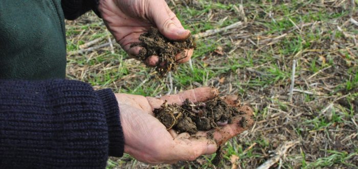 Farmer looking at soil in his hands