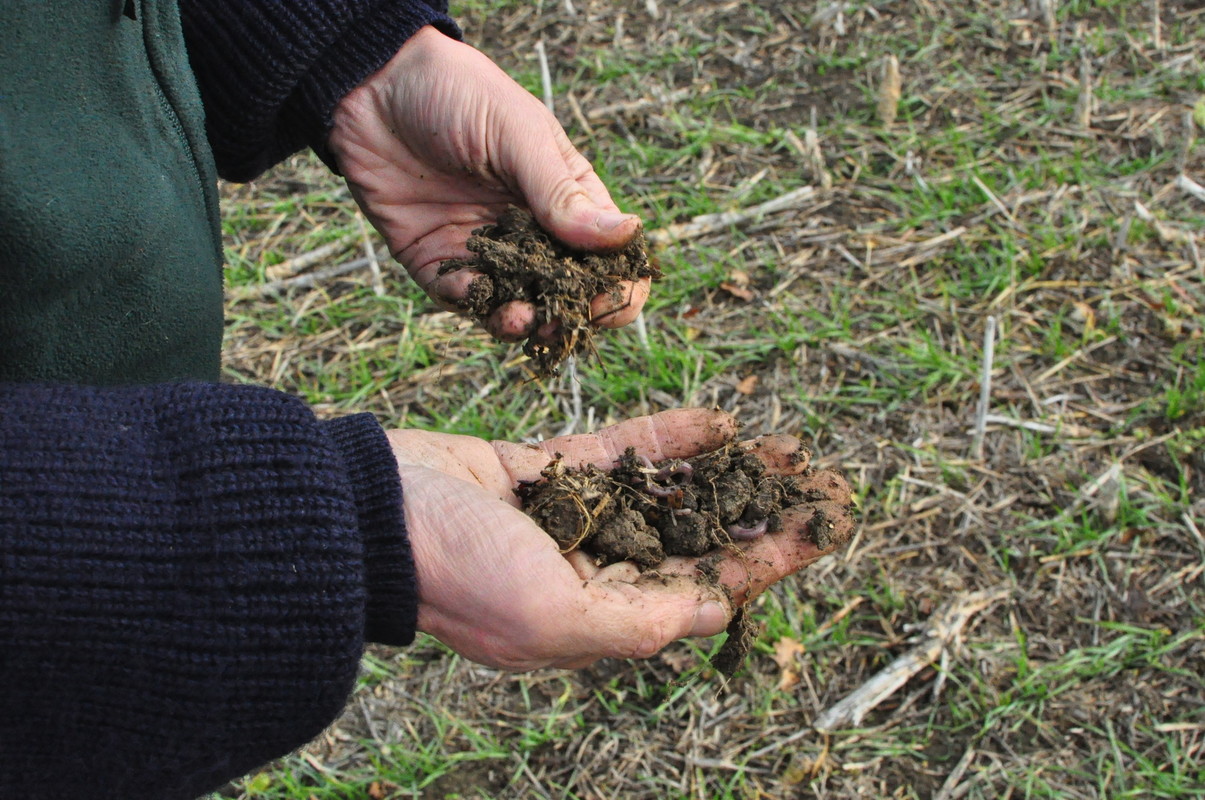 Farmer looking at soil in his hands