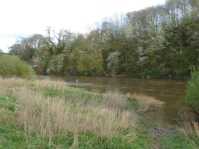 The River Wye near Fownhope