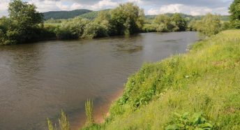 River Wye near Leabrink