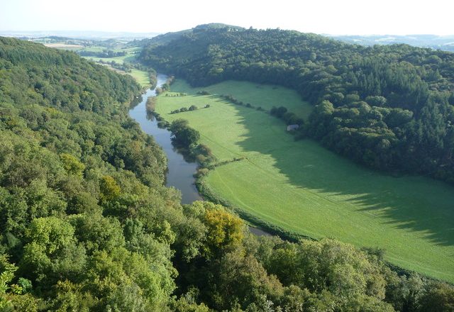 View of the River Wye from Symonds Yat Rock