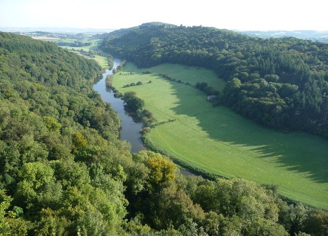 View of the River Wye from Symonds Yat Rock