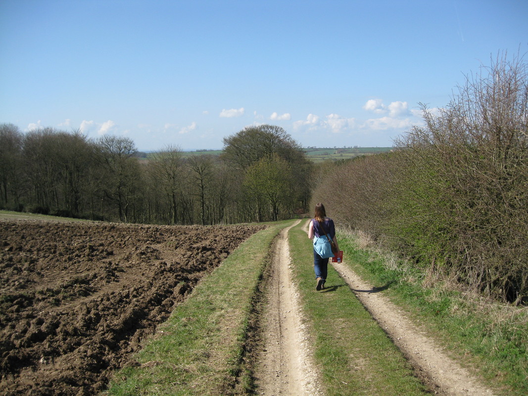 Solo female walker along path by field