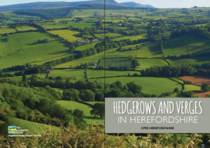 The cover of our Hedgerow booklet showing a network of hedges across the landscape below Merbach Hill