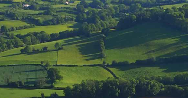 View from Merbach Hill of rolling hills criss-crossed with hedgerows
