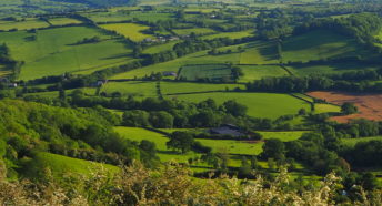 Patchwork of fields viewed from Merbach Hill