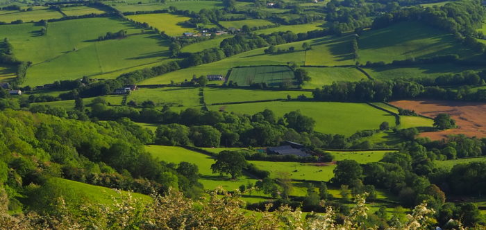 Patchwork of fields viewed from Merbach Hill