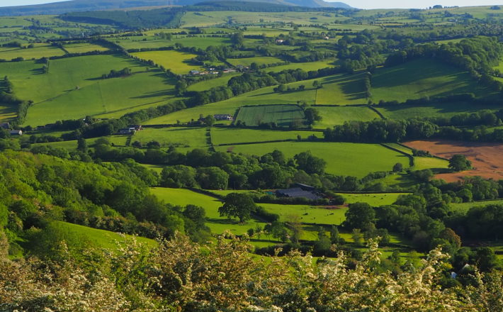 Patchwork of fields viewed from Merbach Hill