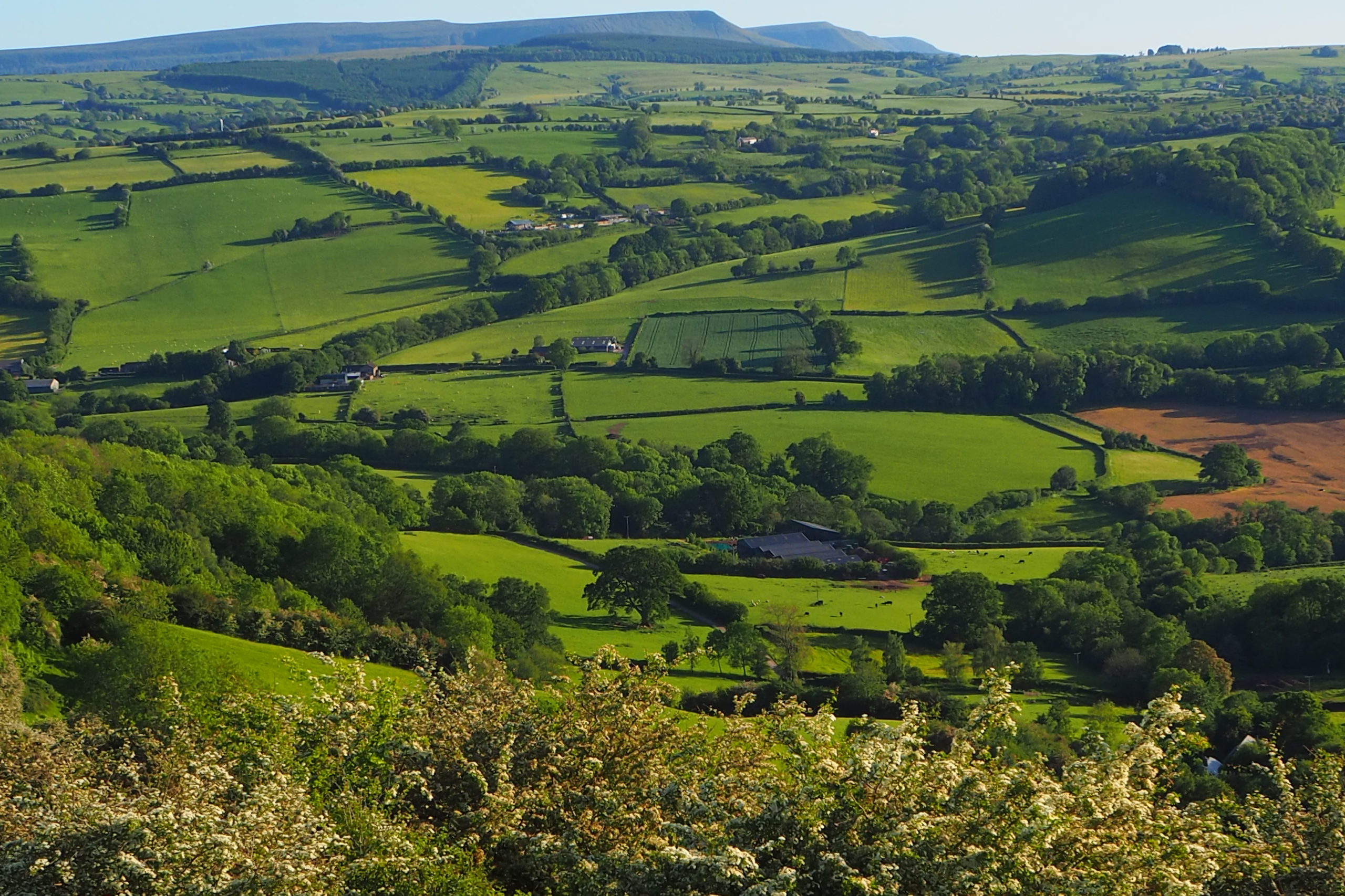 Patchwork of fields viewed from Merbach Hill
