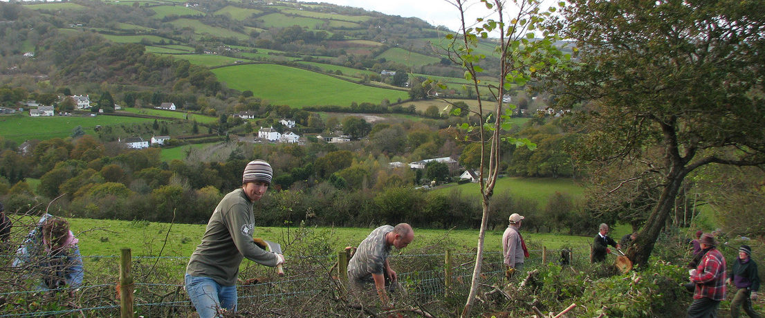 Hedgelaying group