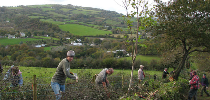 Hedgelaying group