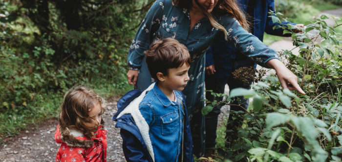 Family taking a closer look at a hedgerow