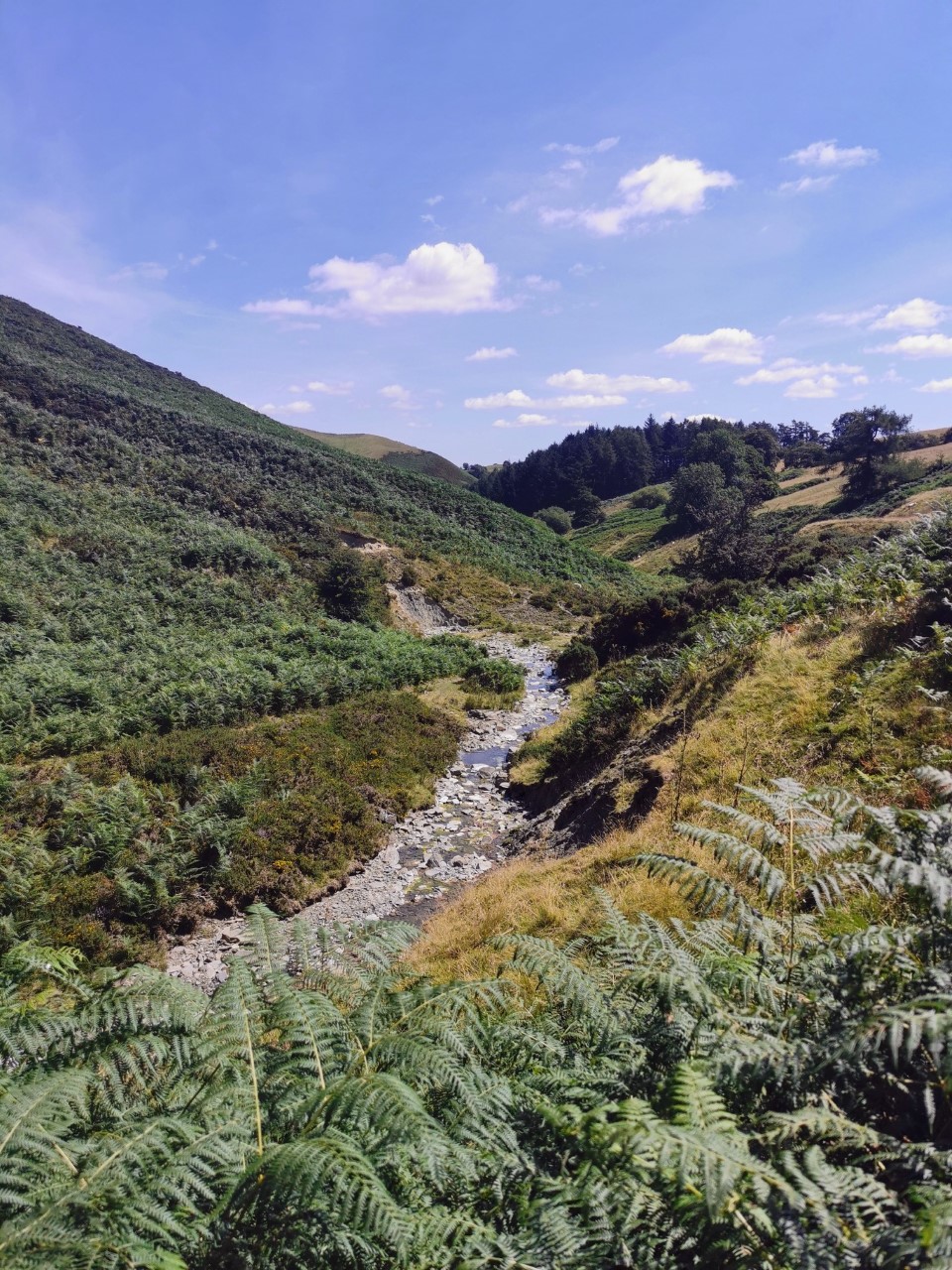 View of the young River Lugg near its source in the Welsh Hills
