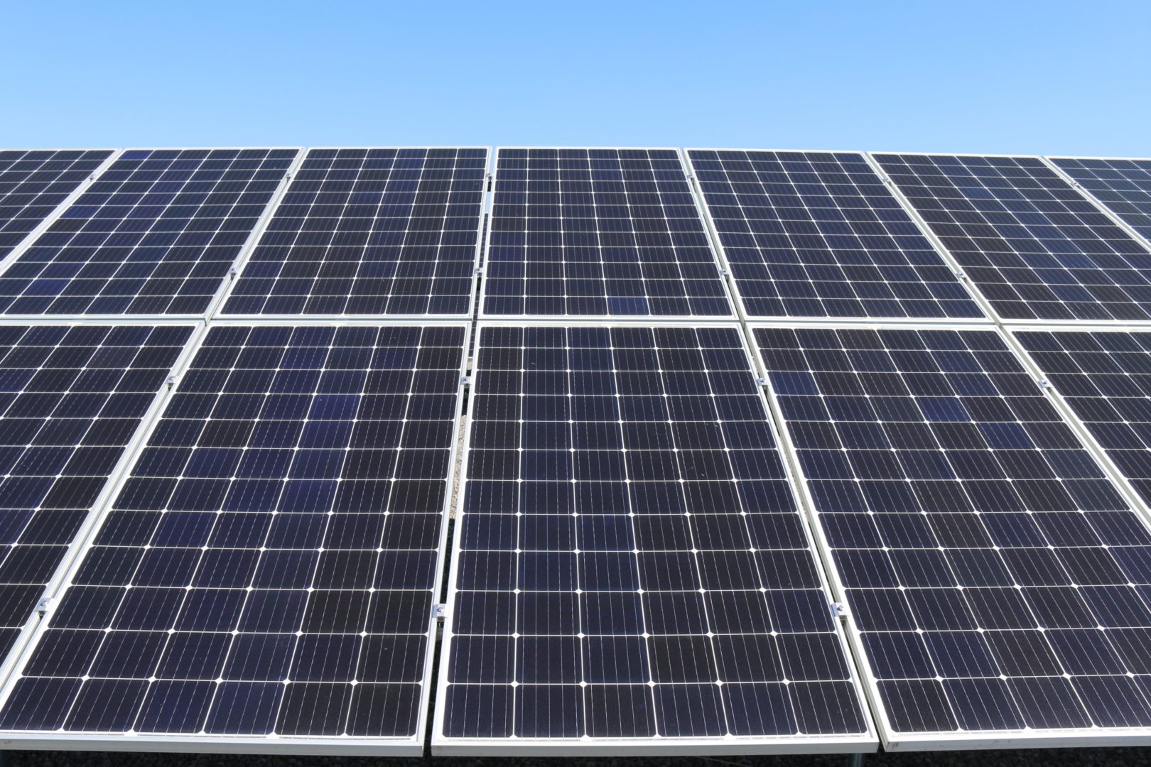 An array of solar panels