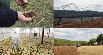 Composite picture showing arable land under plough, intensive chicken production, polytunnels and a farmer checking soil health