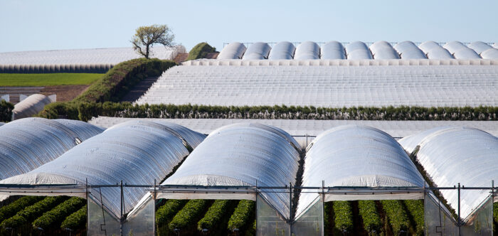 Poly tunnel example