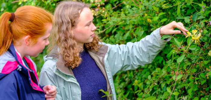 Two young girls looking at hedgerow flowers