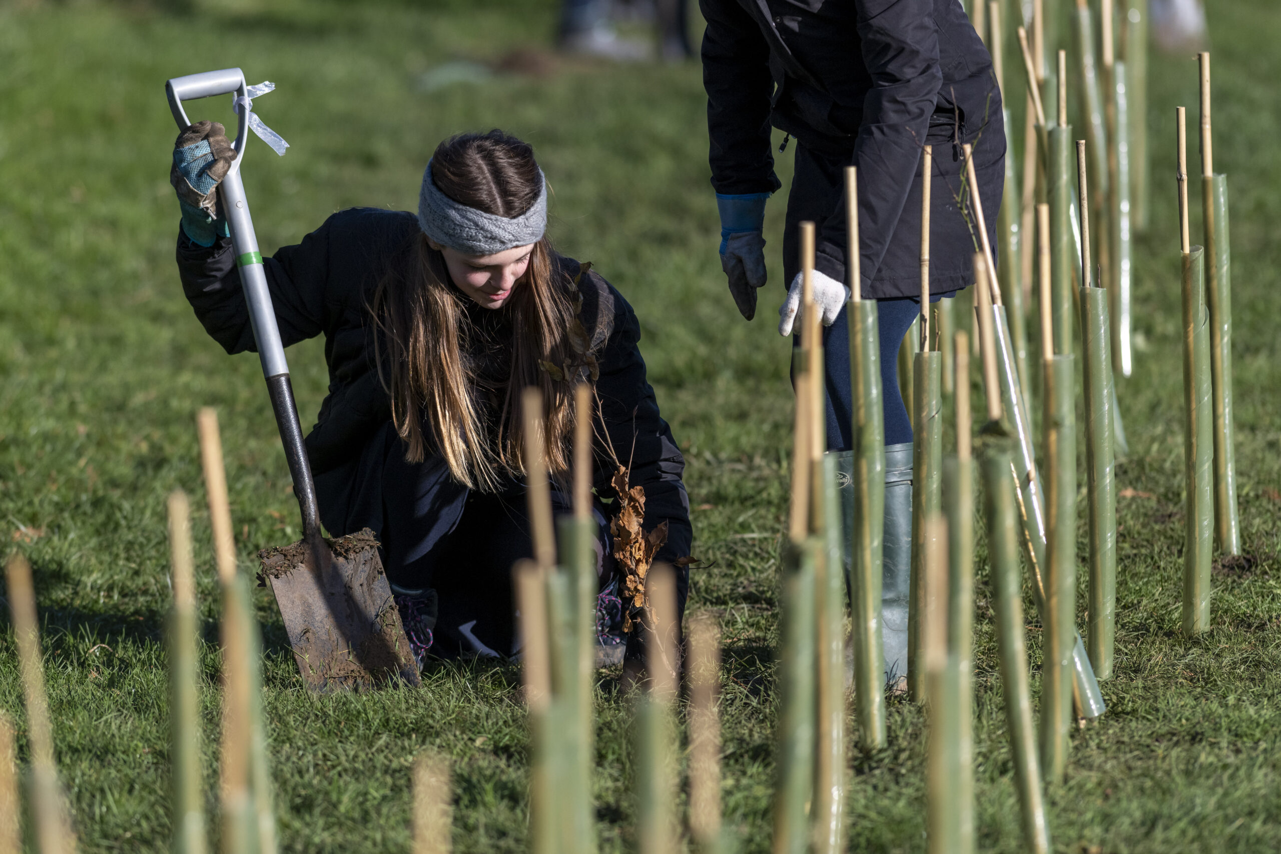 Hedgerow Planting