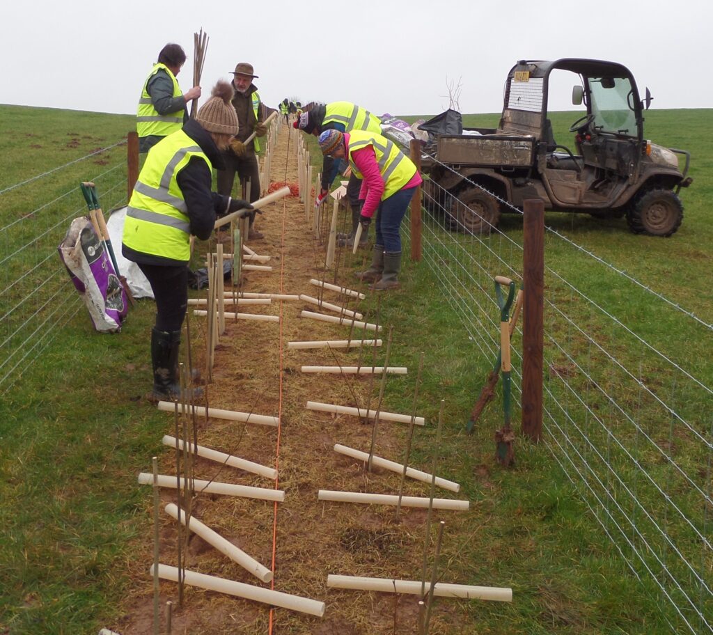 CPRE Herefordshire Hedgerow Heroes