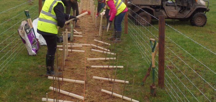 CPRE Herefordshire Hedgerow Heroes