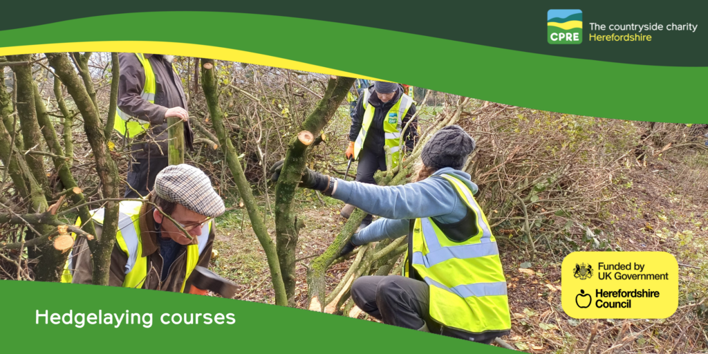 Hedgelaying courses