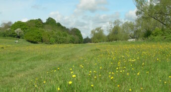 Lugg Meadows in May