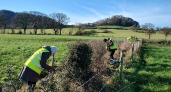 Gapping up an existing hedge