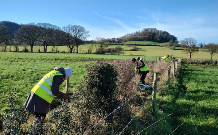 Gapping up an existing hedge